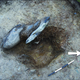 A stonehole uncovered at Waun Mawn, including the packing used to secure the missing stone.
